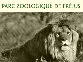 reduction zoo frejus 83