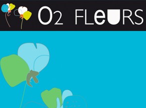 1 botte de 5 roses offerte ! o2 fleurs sene